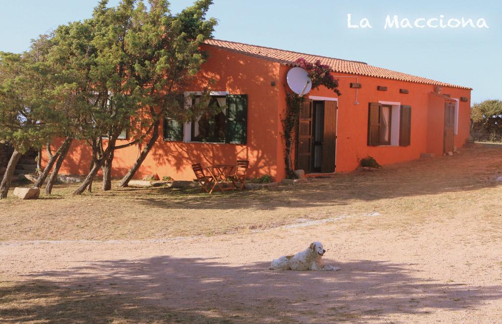 Apartamento La Macciona Aglientu Exterior foto